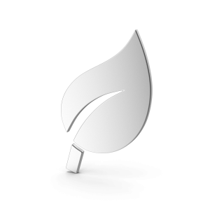 Symbol Leaf Silver.H02.2k